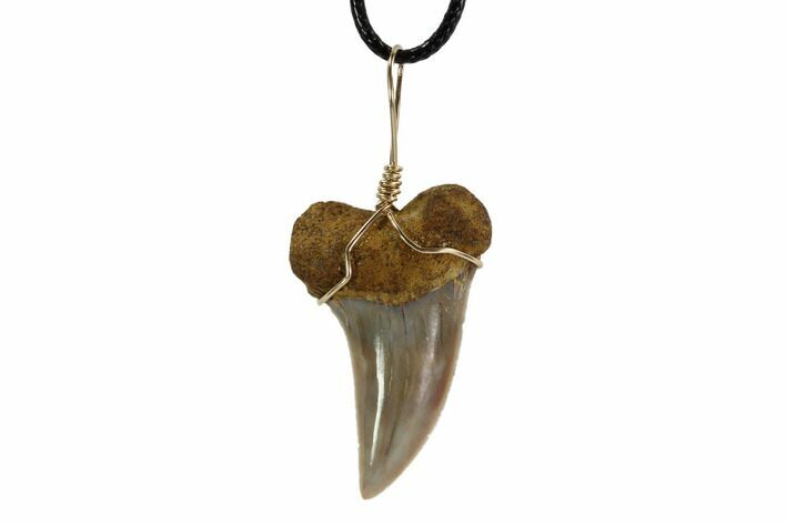 Fossil Mako Tooth Necklace - Bakersfield, California #95258